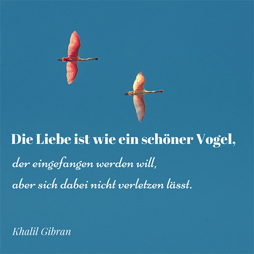 Philosophen Zitate Liebe