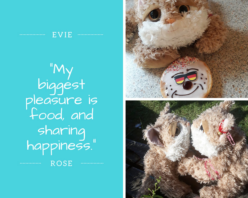 evy-rose-zitat-lovely-sloth