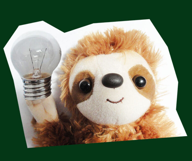 energie-sparen-zum-satt-werden-wissen-rund-ums-faultier-lovelysloth